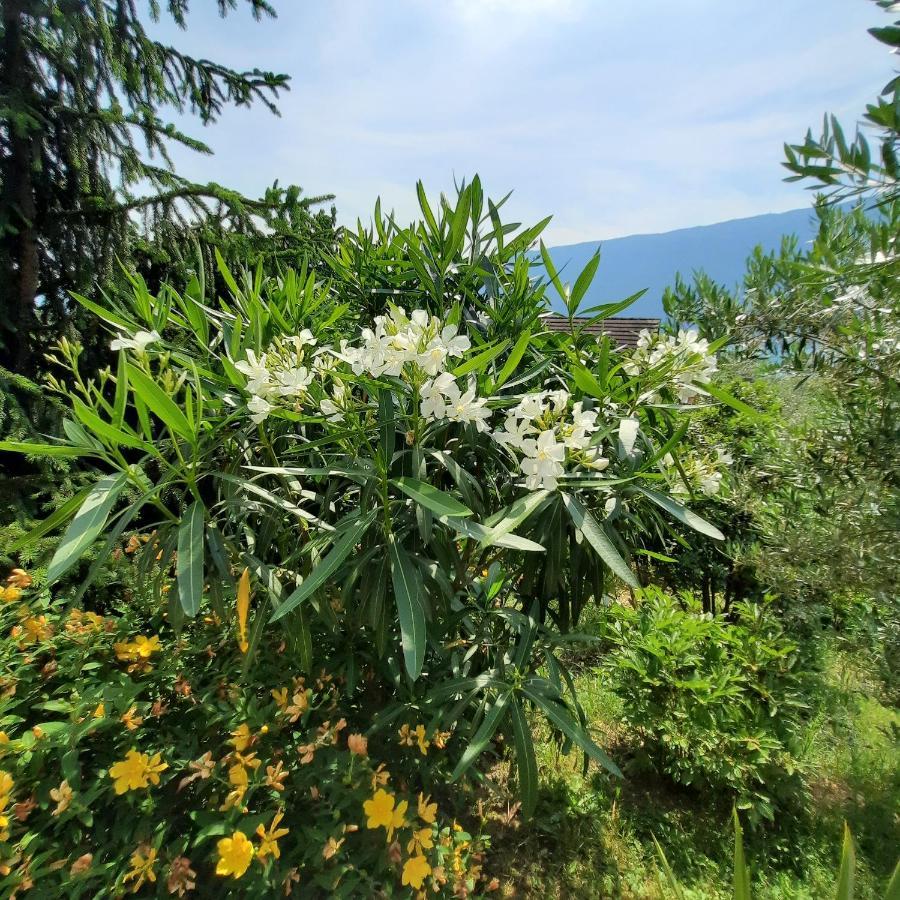 Le Lac Tresserve Kültér fotó